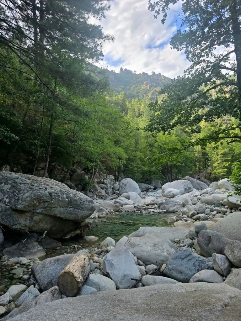 Paysage de montagne dans la vallée de la Restonica avec rivière claire et végétation corse.